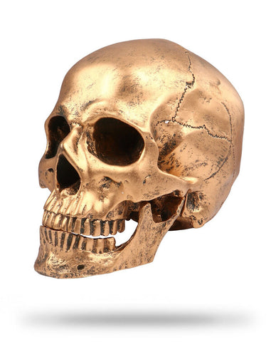crâne décoratif
