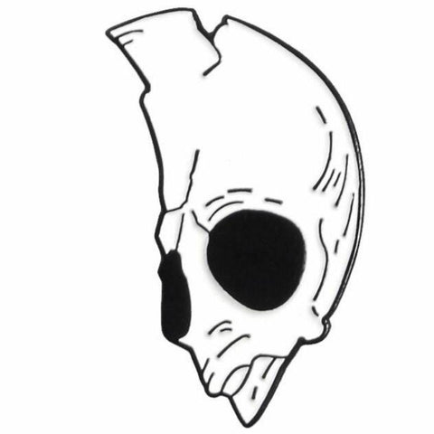 Pin's Skull